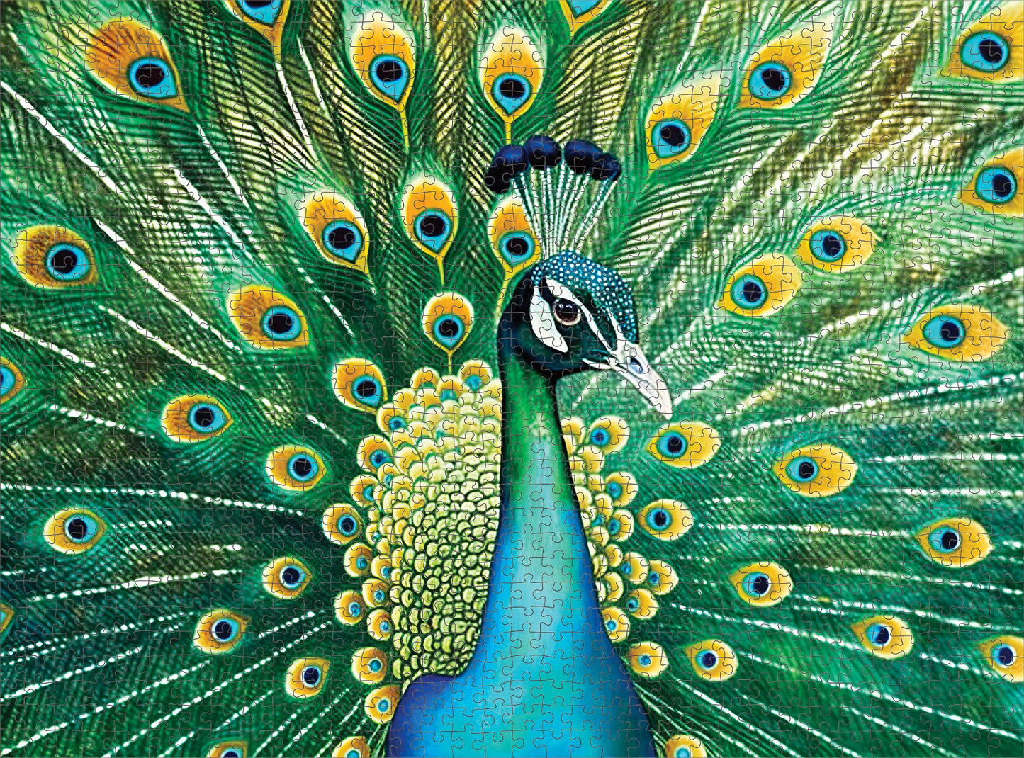 Cross & Glory 1000 Piece Jigsaw Puzzle - Emerald Peacock Artwork, Large Size, Durable 1.8mm Cardboard, Perfect for Animal Lovers