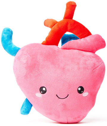 Nerdbugs Heart Plush - I Aorta To Tell You How Much I Love You!- Adorable, Cute And Funny Cardiology Heart Plush/ Health Educational Gift/ Heart Surgery Gift/ Heart Attack Gift