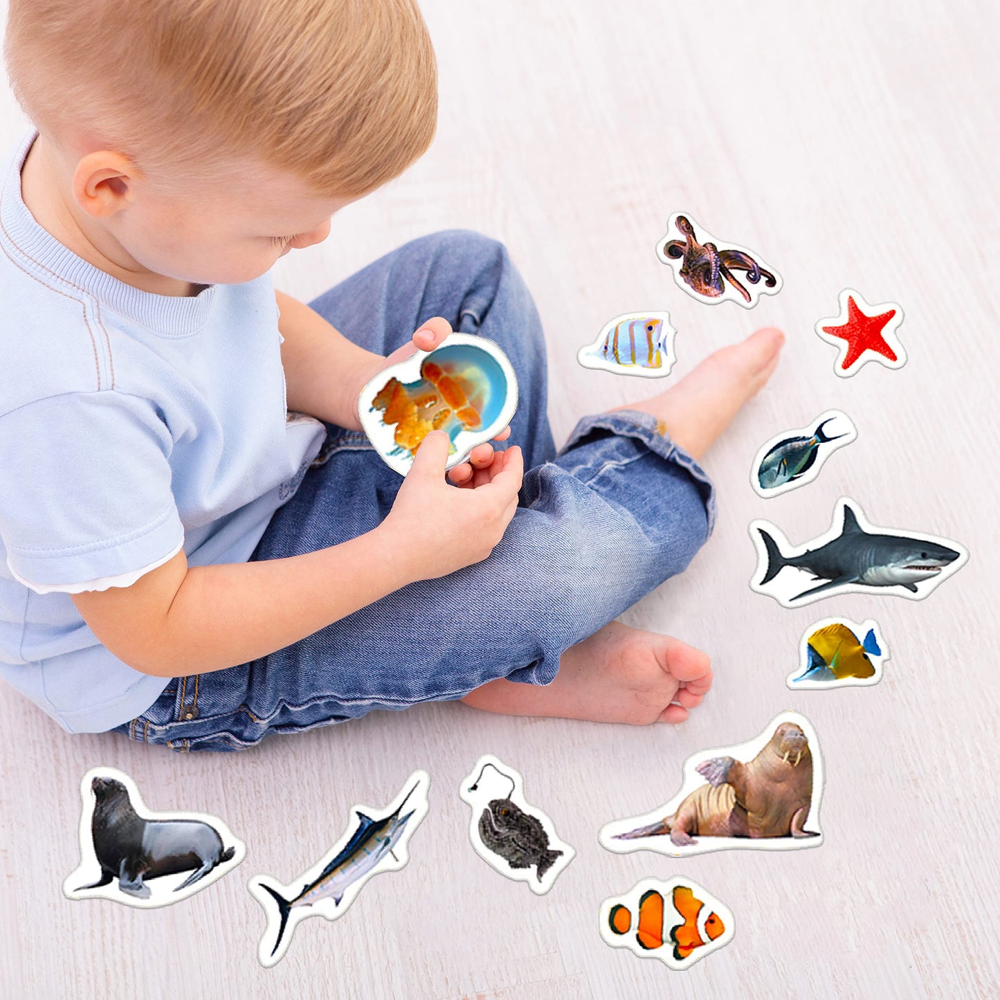 Fridge Magnets For Toddlers - 30 Sea Photo Kids Magnets For Fridge - Toddler Magnets For Refrigerator - Magnetic Animals - Fridge Magnets For Kids - Animal Magnets - Toddler Fridge Magnets