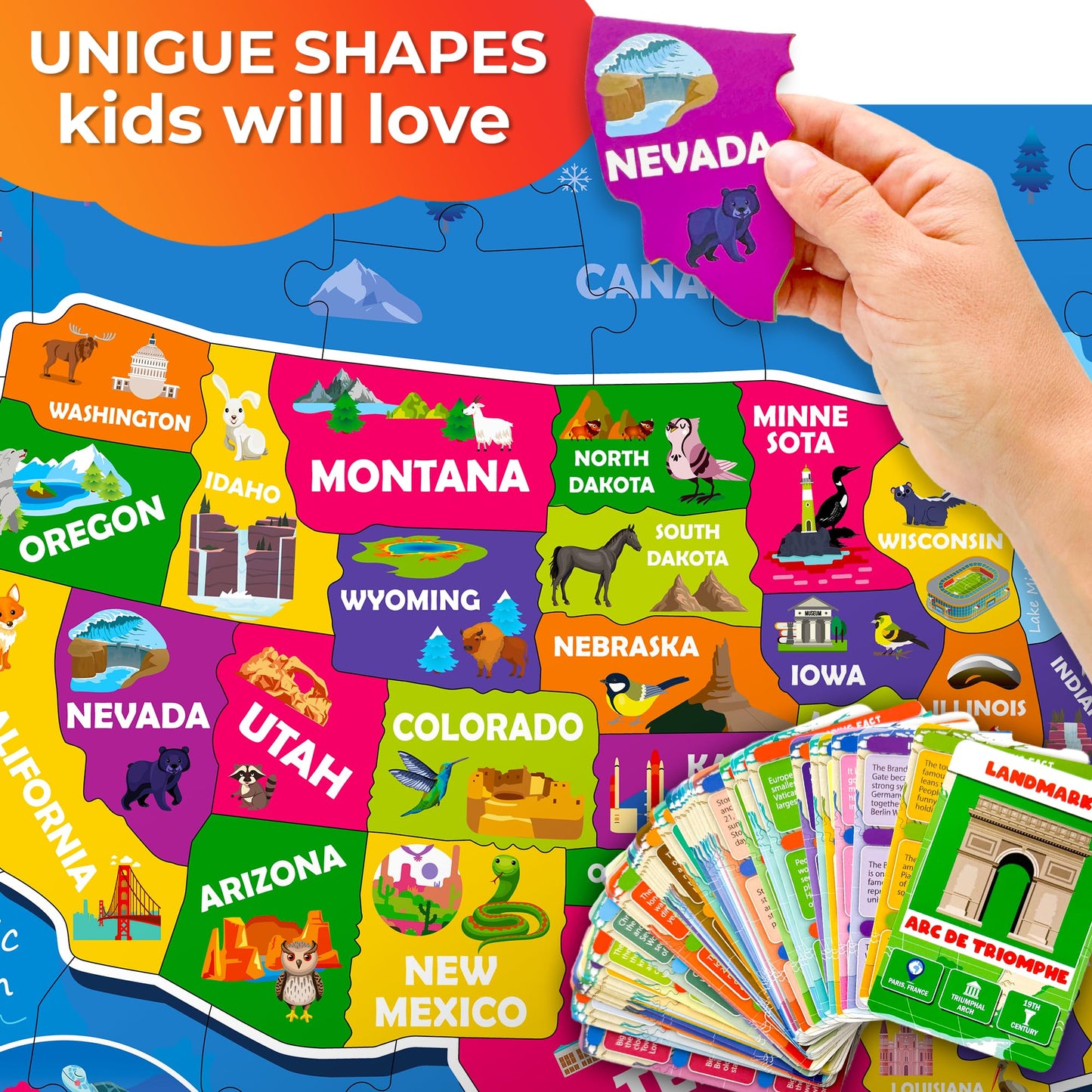 Quokka Puzzles For Kids Ages 4-6 - 70 Pcs Jigsaw Puzzles For 6-8 Year Olds - 50 Double-Sided Cards | Learn Usa| Stimulating Education Activity Gift - Shaped Puzzles For Toddlers