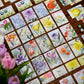 Pencil First Games Floriferous Card Game - Relaxing Garden Game for 1-4 Players, Multicolor, Model PFX1300, Cardboard