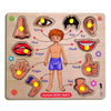 Lefan Wooden Puzzles Wooden Human Body Parts Puzzle Educational Anatomy Toy For Kids Educational Montessori Learning Puzzle For 