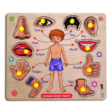 Lefan Wooden Puzzles Wooden Human Body Parts Puzzle Educational Anatomy Toy For Kids Educational Montessori Learning Puzzle For 