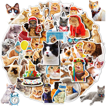 Cat Stickers For Kids Teens Girls Adults, 100 Pcs Cute Cat Stickers, Vinyl Waterproof Animal Stickers For Water Bottle, Laptop,
