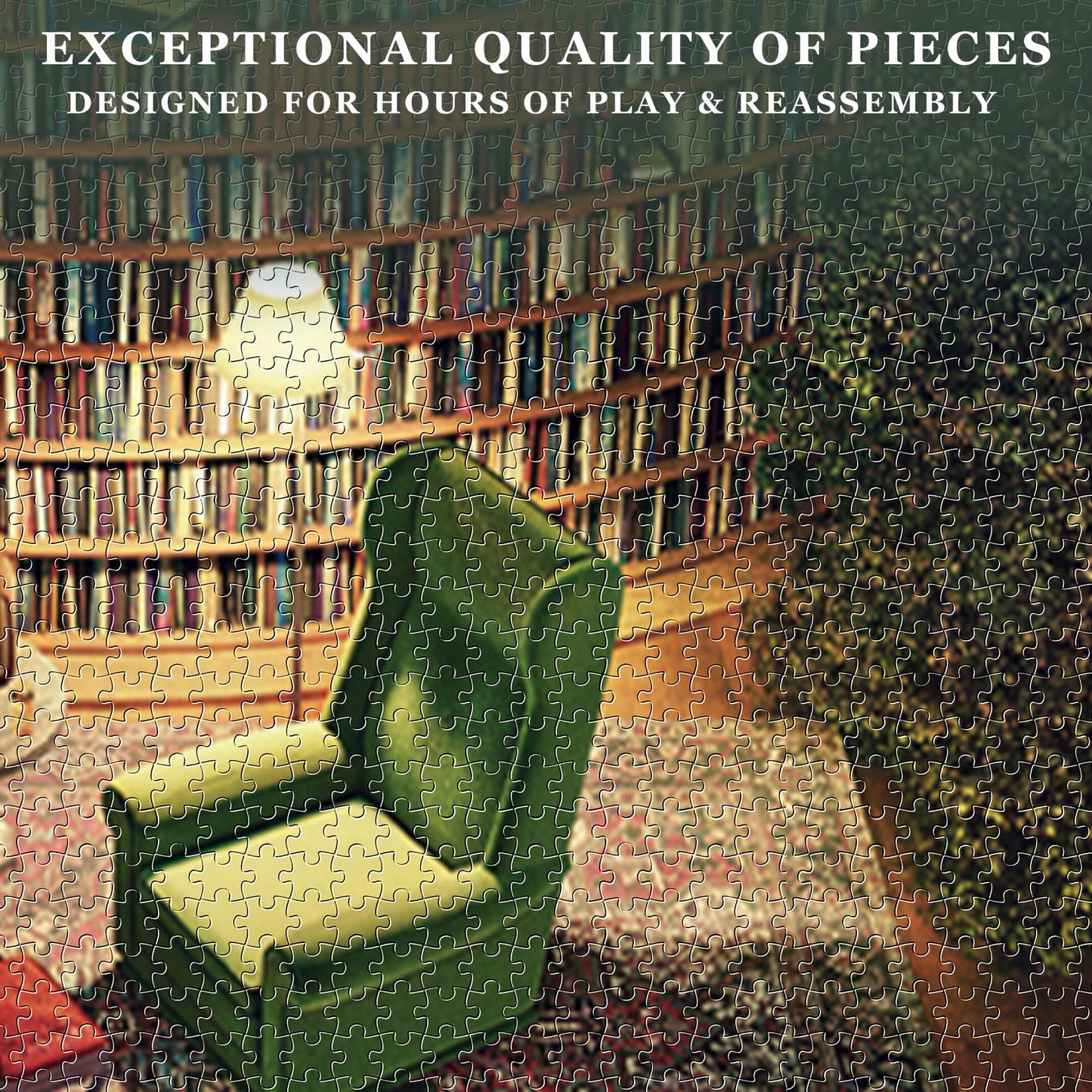 Jigsaw Puzzles For Adults, 1000 Pieces And Up, Bookshelf Canal Puzzle, Books Library Challenging Funny Puzzles For Friends Family Activity Game Nights Gifts