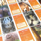 Name That Bumhole - Guess The Animals From Their Bumholes - Animal Trivia Game - 55 Flashcards 4.9''X3.2'' (12.5X8.1Cm)
