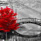 najiaxiaowu mature-themed Puzzle Classic Jigsaw Puzzle 1000 Pieces Wooden Puzzle DIY Black and White Bridge and Red Tree Modern Home Decor Intellectual Game Wall Art Unique Gift 75x50cm