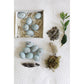 Creative Co-Op Boxed Set Of 12 Blue Speckled Ceramic Robin Eggs