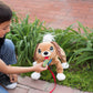 Peppy Pets Mutt