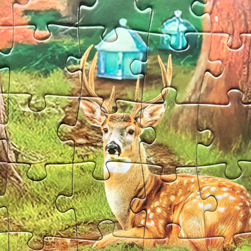 300 Pieces Jigsaw Puzzles For Adults - Puzzles For Kids Ages 6-8 8-10 10-12 - Large Piece Puzzles For Seniors - Forest Bear Adventure