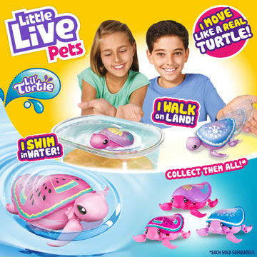 Little Live Pets Turtle - Multicolor Interactive Pet, Styles May Vary, Perfect for Kids, Fun and Engaging Toy