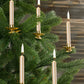 BRUBAKER Tree Candles - Pack of 20 - Pale Gold - 3 x  Inches - Made in Europe - Christmas Wax Candles for Pyramids, Carousels &