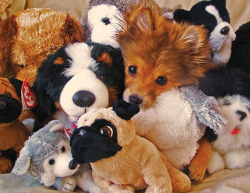 Springbok'S 400 Piece Family Jigsaw Puzzle Playtime Puppies - Made In Usa