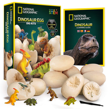 National Geographic Dinosaur Dig Kit - 12 Dino Shaped Bricks With Figures Inside & Excavation Tool Sets, Egg Hunt Or Party Activity, Great Stem Toy For Boys & Girls, Easter Basket Stuffers