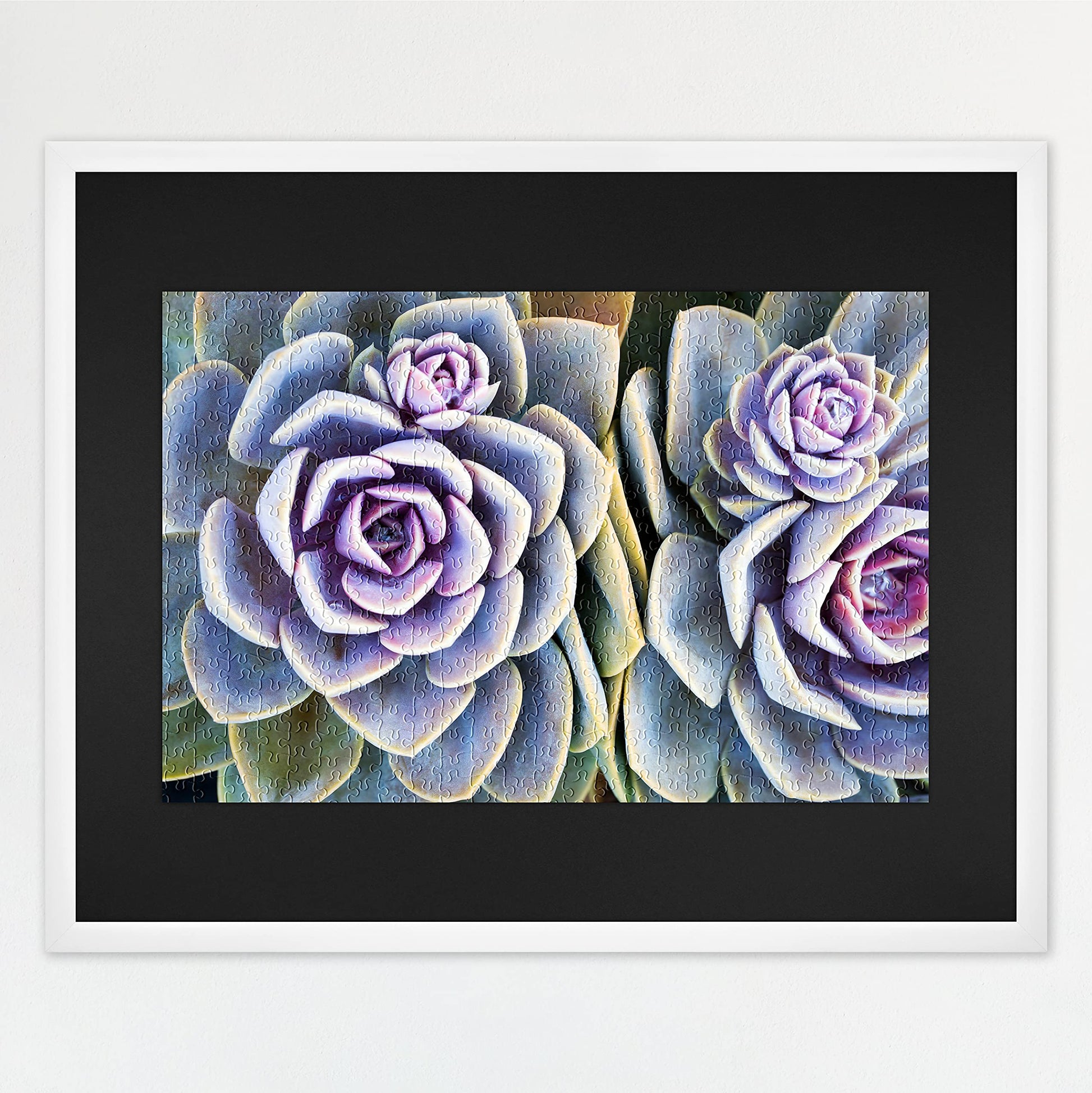 MCS Frame for Puzzles, White, 24 x 30 in or smaller