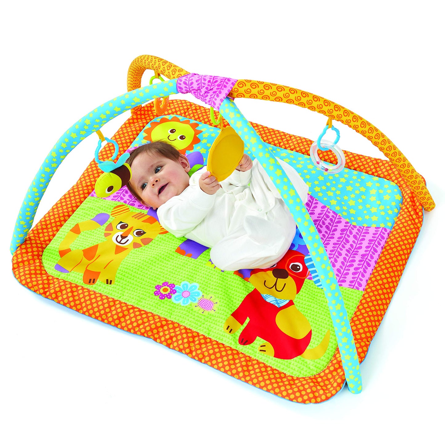 Bruin My 1St Playgym
