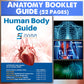 Evviva Sciences Human Heart, Torso, And Skeleton Models - Hands-On 3D Model Study Tools For Anatomy And Physiology Students With