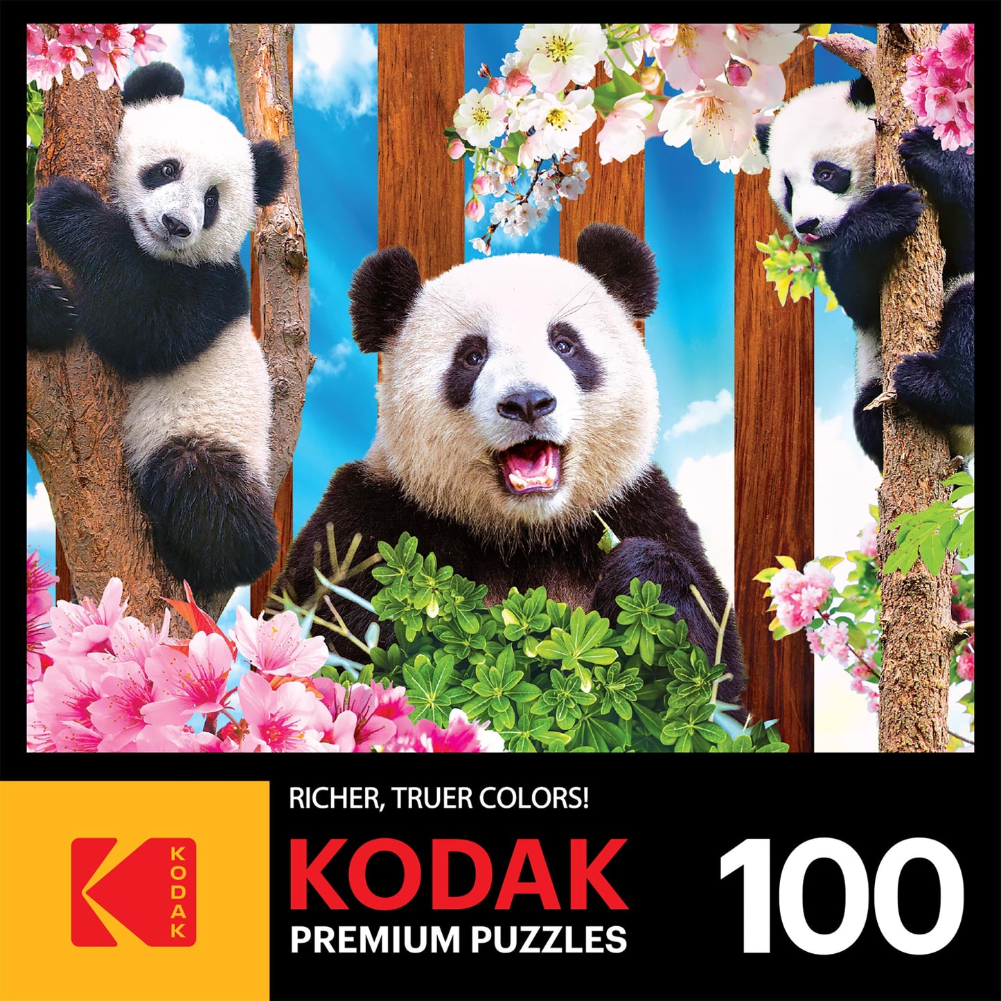 Roseart - Kodak Premium - Panda Playtime - 100 Piece Jigsaw Puzzle For Adults
