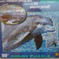 American Puzzles Photomosaic Dolphin Jigsaw Puzzle - 1000 Pieces, Cardboard Construction, Fun for All Ages