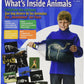 Whats Inside Animals Flash Cards