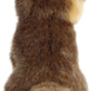 Aurora Realistic Miyoni Coyote Stuffed Animal - Lifelike Detail - Cherished Companionship - Brown 9.5 Inches