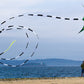 Prism 75-Foot Kite Tube Tail