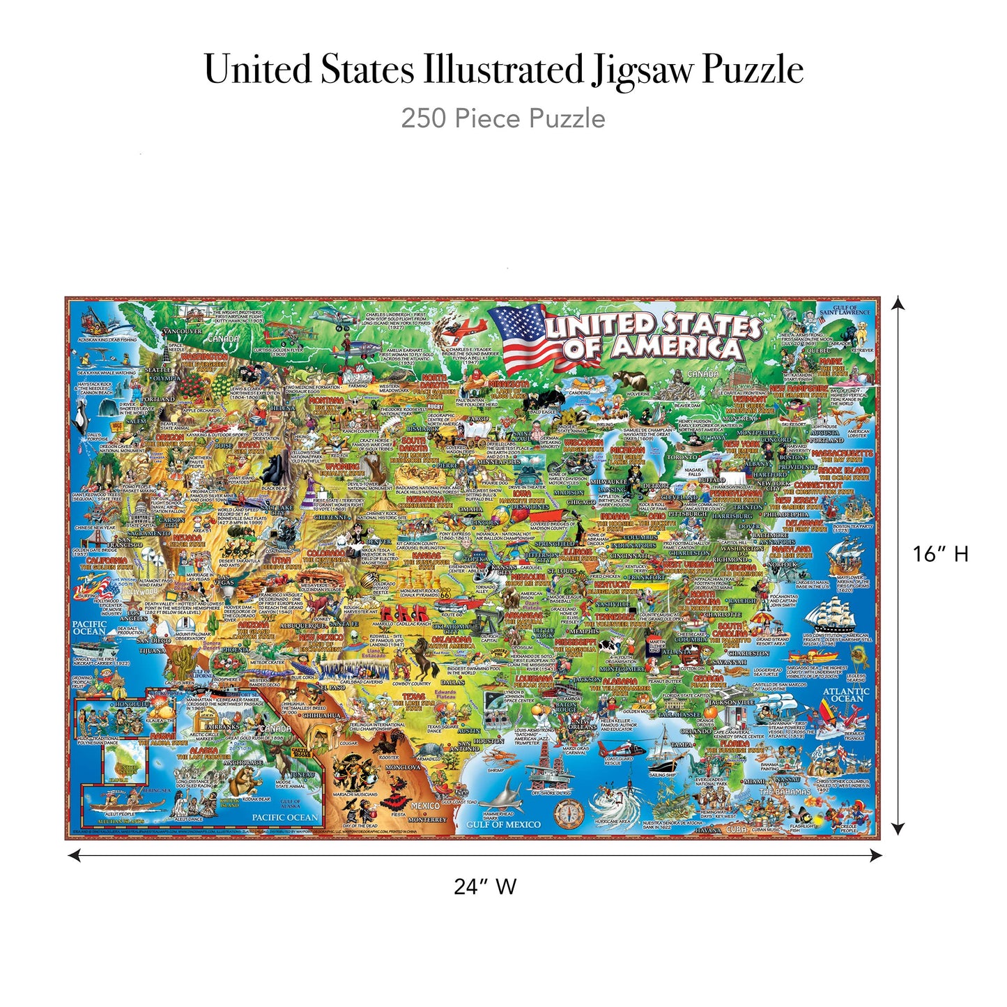 Maestral United States Illustrated 250 Piece Jigsaw Puzzle