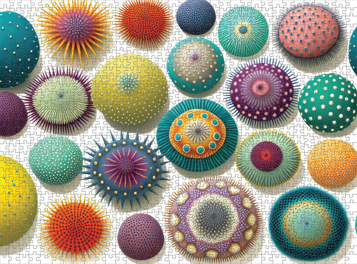 Cross & Glory - Colorful Sea Urchins - 1000 Piece Jigsaw Puzzle For Adults | Vibrant And Stunning Collage | Challenging And Relaxing | Unique And Beautiful Design