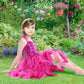 Hot Pink Dress For Girls Sequin Tutu Dress Ruffles Fuchsia Tulle Dress For Birthday Party 4T