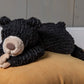 Mary Meyer Cozy Toes Black Bear Stuffed Animal Toy, 17-Inch Polyester Plush, Model 27230