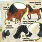 Zippytots 10PCS Horse Figurine Set - Realistic Plastic Toys for Toddlers - Educational Gift & Party Favors - Model BT013