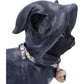 Nemesis Now Reapers Kitty 15.5Cm, Black