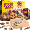 Dan&Darci Real Fossil Dig Kit For Kids - Easter Science Kits For Boys & Girls Age 8-12 - Birthday Gift Ideas For 8, 9, 10, 11, 12 Year Old Boy Or Girl - Fossils Digging Stem Toys For Ages 8-13
