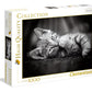 Clementoni 39422 Kitten - Hqc Jigsaw Puzzle Puzzle For Adults And Children - 1000 Pieces