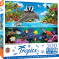 Dolphin Ride 300 Pc