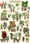 Vintage Houseplant Puzzle 1000 Pieces for mature-themed  Botany Succulent House Plant Puzzle  39 Common Indoor Plants Jigsaw Puzzles