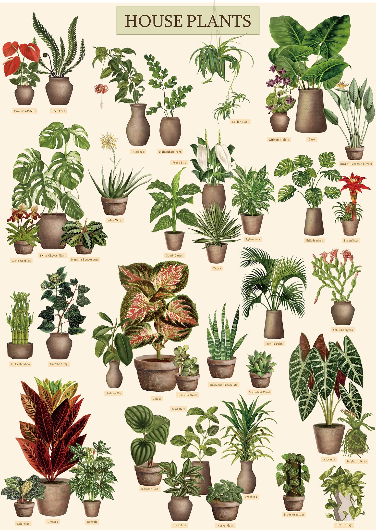 Vintage Houseplant Puzzle 1000 Pieces For Adult, Botany Succulent House Plant Puzzle, 39 Common Indoor Plants Jigsaw Puzzles
