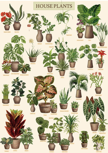 Vintage Houseplant Puzzle 1000 Pieces For Adult, Botany Succulent House Plant Puzzle, 39 Common Indoor Plants Jigsaw Puzzles