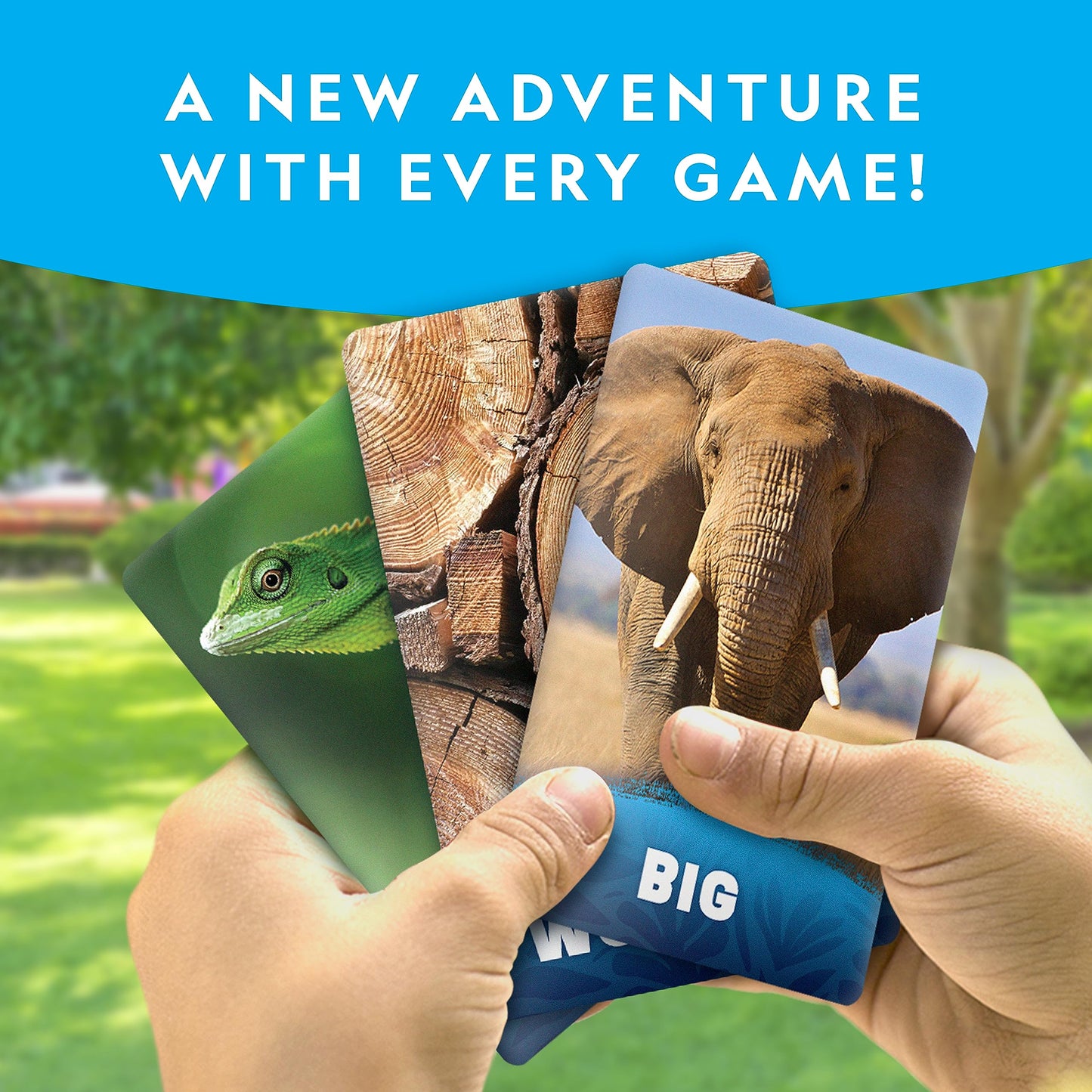 Blue Marble National Geographic Scavenger Hunt Card Game - Jumbo 40 Cards, Multi-Color, Cardstock, Model NGSCAVHUNT