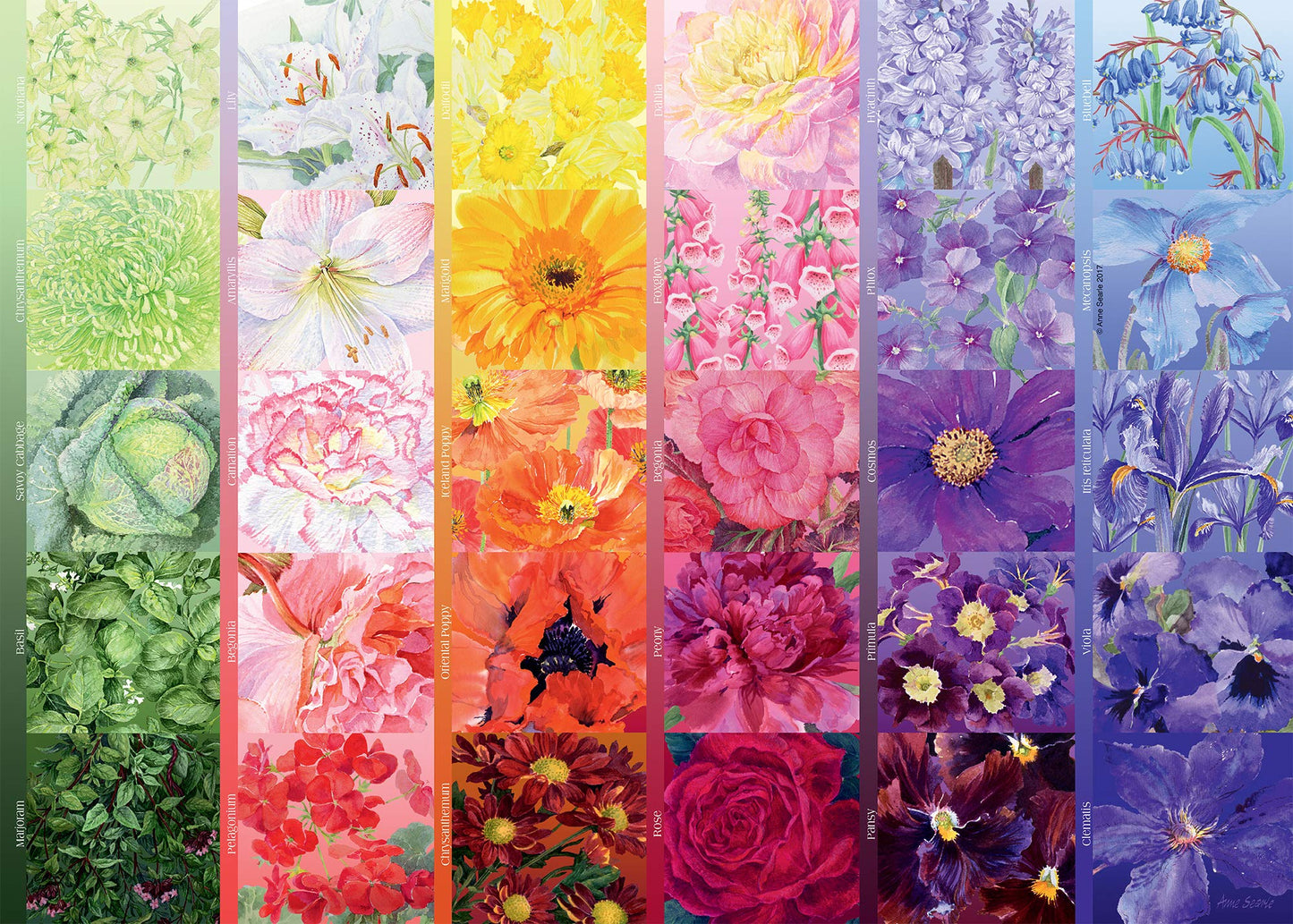 Ravensburger Gardener'S Palette - Premium 1000-Piece Jigsaw Puzzle | Anti-Glare Surface | Unique Piece Design | Ideal For Group Activity Or Solo Fun Ages