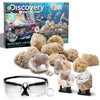 Discovery Kids Toy Mystery Crystals Geode Excavation Kit 14Pc
