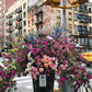 Ravensburger 300-Piece Jigsaw Puzzle - Flowers in New York, Vibrant, Glare-Free, 15.5x10.5 inches, Cardboard, Multicolor, Model