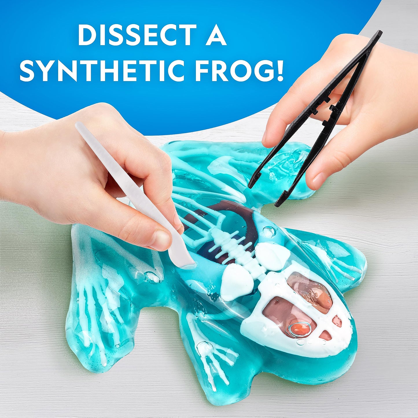 National Geographic Frog Dissection Kit Anatomy Lab - Glow In The Dark Synthetic Frog Dissecting Science Lab For Kids With Dissecting Tools, Glowing Bones & Realistic Organs, Science Toys, Biology Kit
