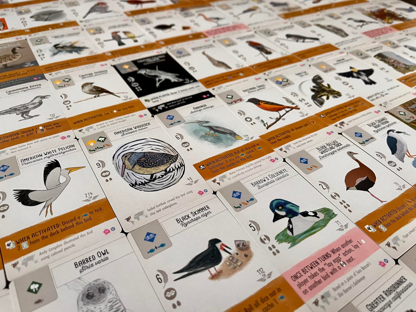 Stonemaier Games: Wingspan Fan Art Pack | Submitted Illustrations Of Fan Favorite Birds In Wingspan | Needs Wingspan Base Game T