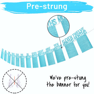 Partyhooman 1St Birthday Photo Banner For Baby From Newborn To 12 Months, First Birthday Decorations For Boys Monthly Milestones