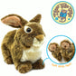 Tigerhart Brigid The Brown Rabbit - 10 Inch Stuffed Animal Plush Bunny