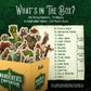 Wanderers Emporium Hard Flat Minis for DND | 28mm-32mm Scale | Cardboard | Model WEstandees1 | Essentials Pack of 36 Miniatures