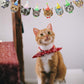 MGJSRNH Cat Happy Birthday Banner - 14 Piece Set, Paper Decor, Bday Cat Theme for Kids' Parties and Baby Showers