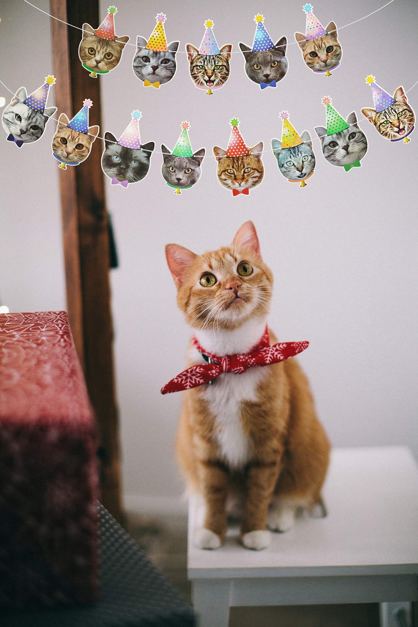 MGJSRNH Cat Happy Birthday Banner - 14 Piece Set, Paper Decor, Bday Cat Theme for Kids' Parties and Baby Showers