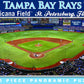 MasterPieces 91427: Tampa Bay Rays 1000pc Panoramic Puzzle